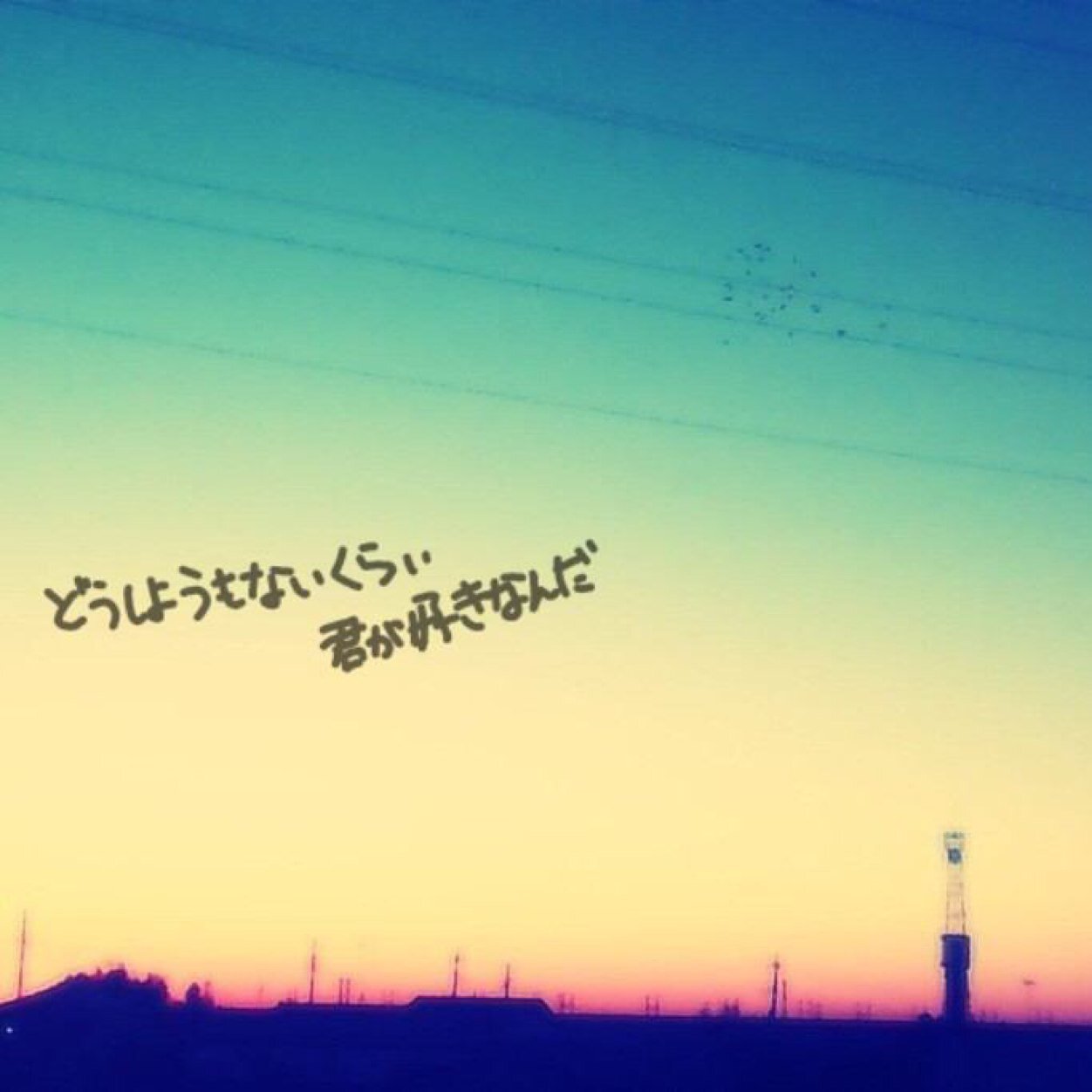 m_a_n_a8's profile picture. フリーだから気軽にかまっちょ♡
よろしくねぇーー(=´∀｀)人(´∀｀=)