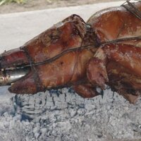 Neil Reid (@neilreidnz) 's Twitter Profile Photo