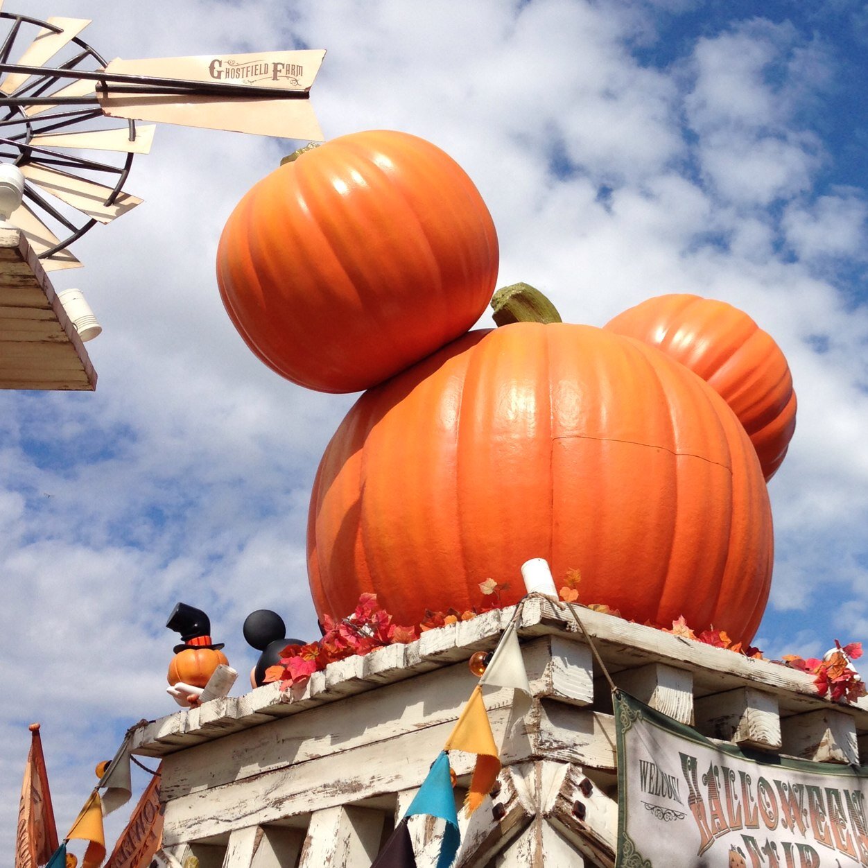 assionakikanko's profile picture. 