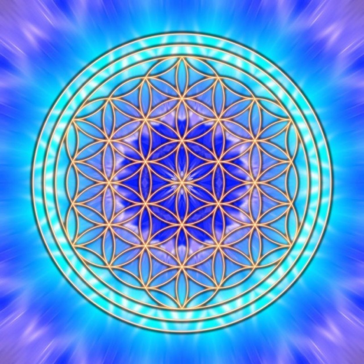 afford6's profile picture. 