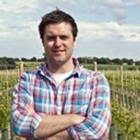 Eamon FitzGerald (@grape_escape) 's Twitter Profile