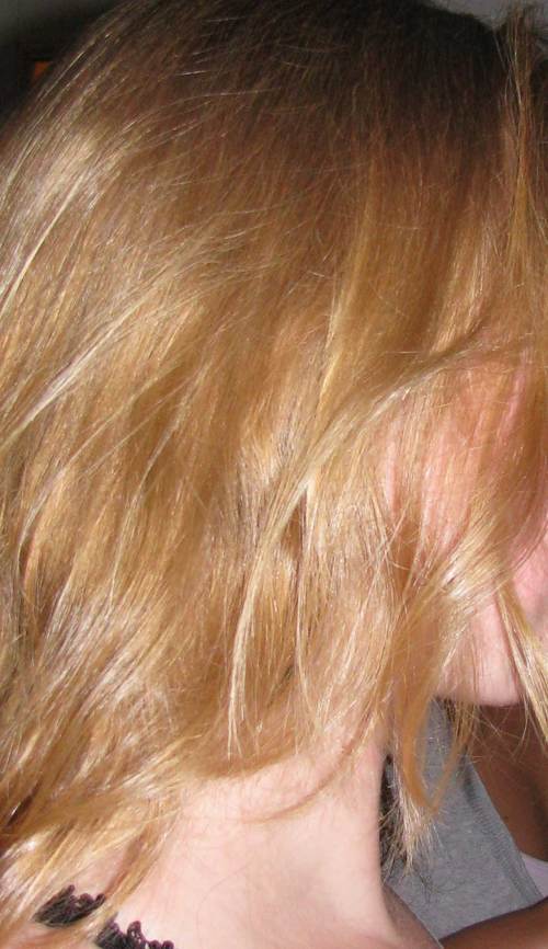 KnipjeCoupje's profile picture. Knip je Coupje grijpt in als het echt niet langer kan... Dit knippend duo laat je weten wat zij van haargerelateerde zaken vindt.