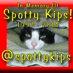 In Memory Of Spotty Skips!  1997 - 2014.  Went to Rainbow Bridge 5th June 2014...Rest in peace little buddy... rest in peace... Please Also Follow @ourdogprince