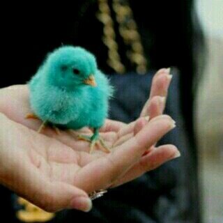 ‏‏‏‏‏‏​حينّ تُخذلُك حُروفُك وَ يُساءَ فِهمك اركنّ الحديثً جانباً وَ تَمتع بِ الصّمت وأجعلّ منهُ لغةٌ رَاقيه تَخاطِبُ بِهاالجميع