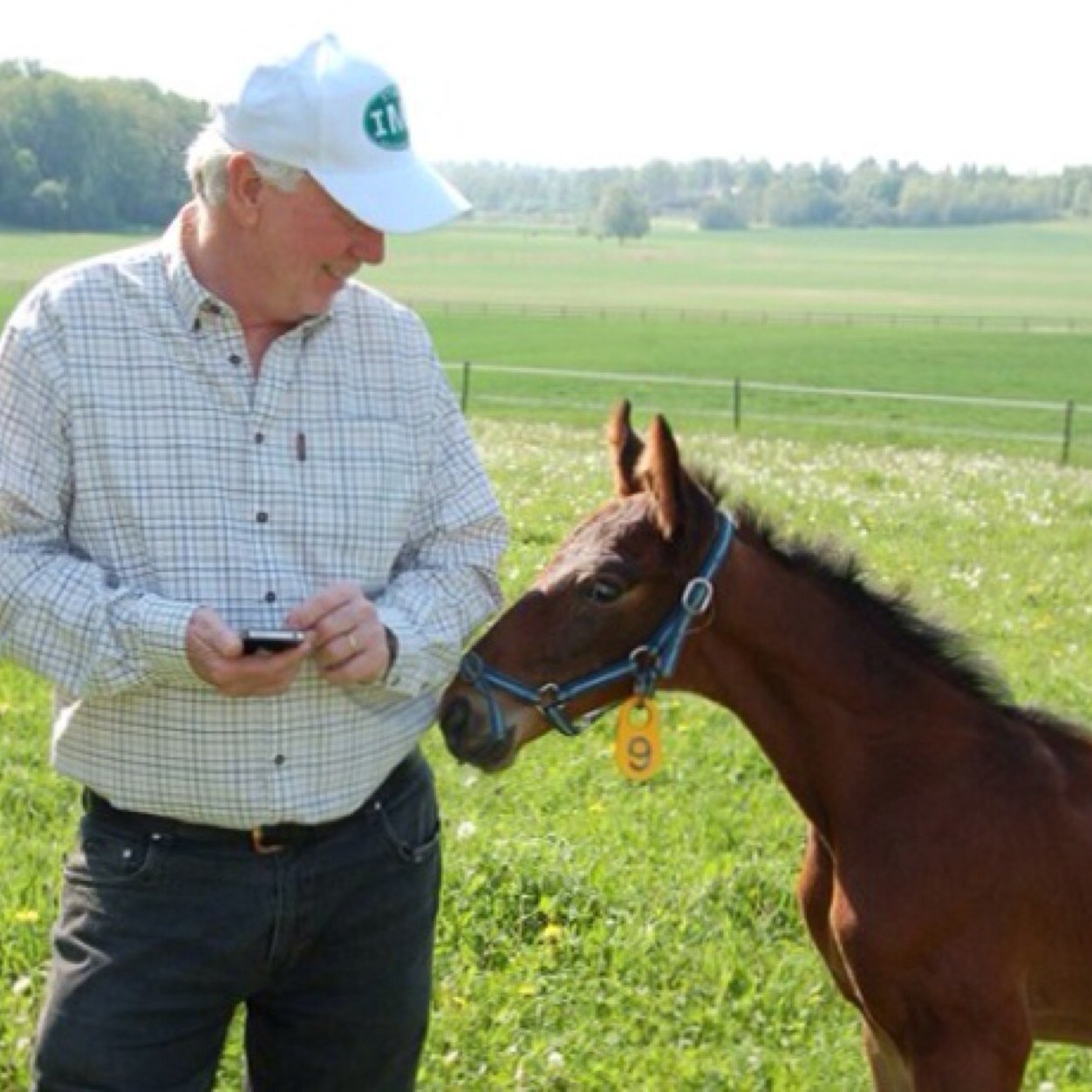 AlinIngemar's profile picture. Hemmansägare, travhästuppfödare,Ordf. i ASVT, jägare, Ordf. distrikt Gävleborg JRF.