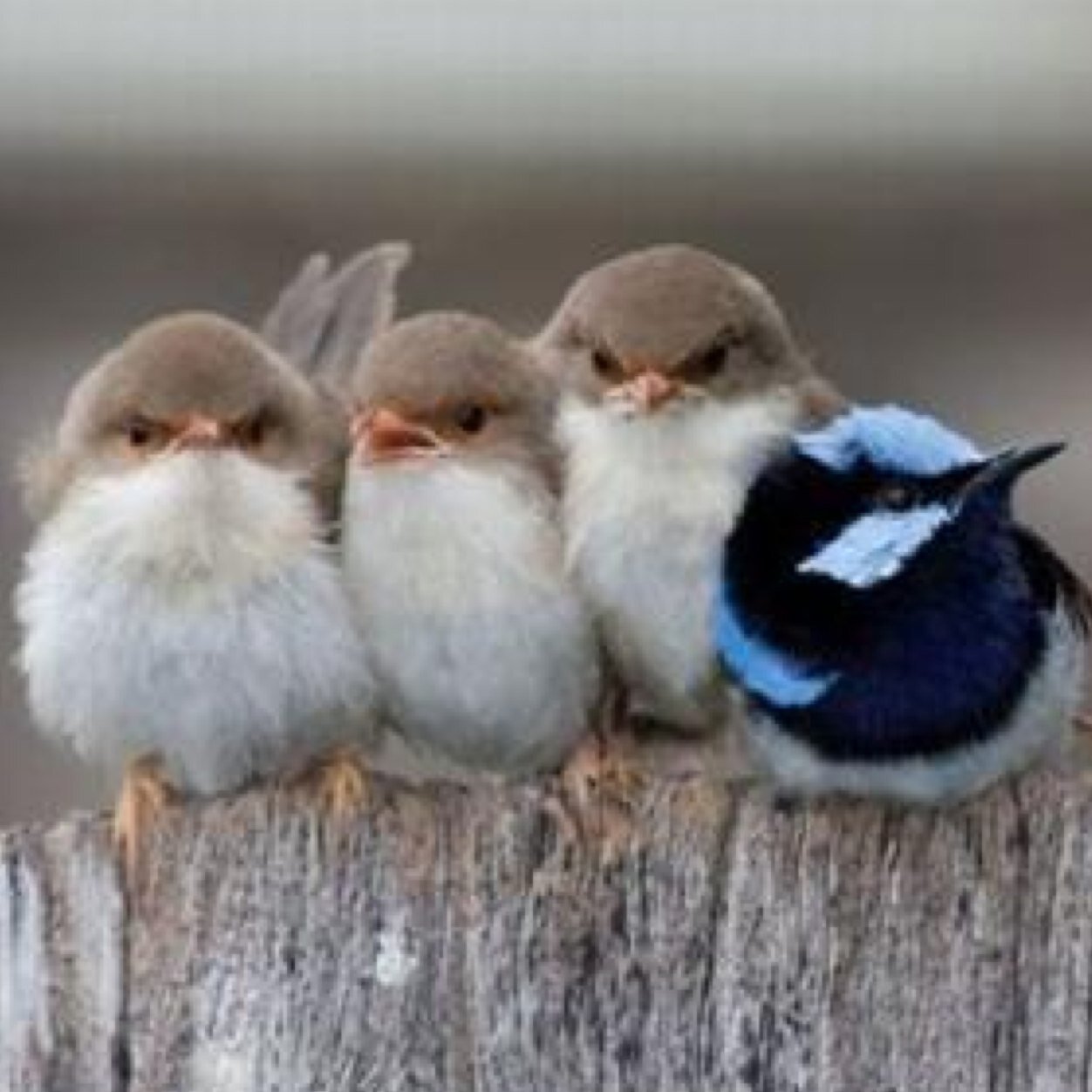 God has created this world wonderfully And marvellously..... Lets just go through some snap shotss!!