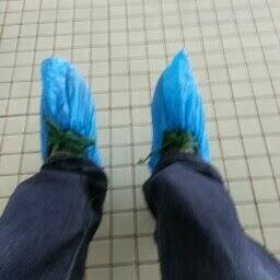 stoaty74's profile picture. Who, me?