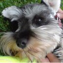 Janine Webster - @WebsterJanine - Twitter