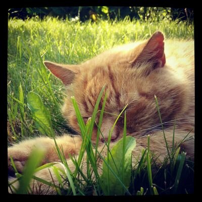 man1ac_by's profile picture. 