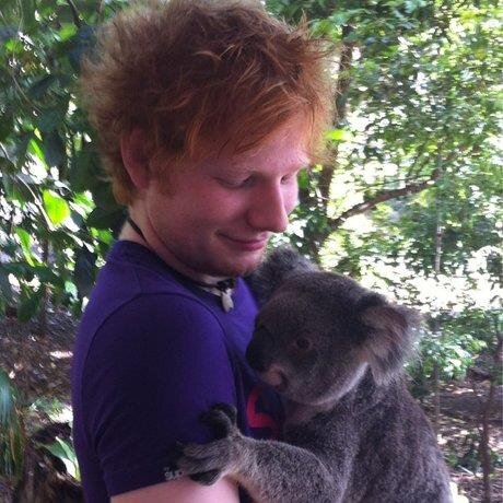 I love Ed Sheeran. He makes my life better. love him so much.♥