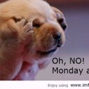 Ashley Taillon-Purdy - @Taillonashley - Twitter