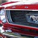 Riccic's profile picture. Touched down in 83