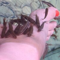 achangie (@achangie) Twitter profile photo