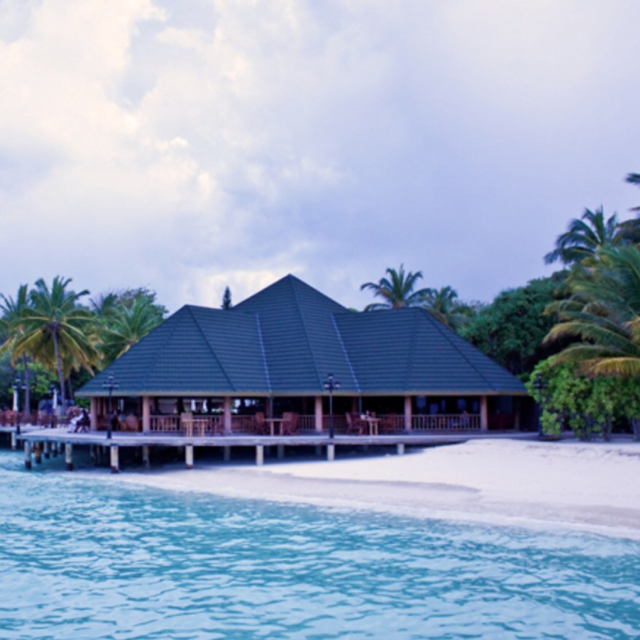 hollidayfun1's profile picture. 