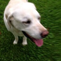 Paul Supowitz (@psup_pitt) 's Twitter Profile