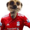 mikeylamb1's profile picture. YNWA Life long LIVERPOOL fan .  Love MMA and UFC. YNWA ☆☆☆☆☆☆ Oh and we won it 6 times And dont forget the mighty EBBSFLEET