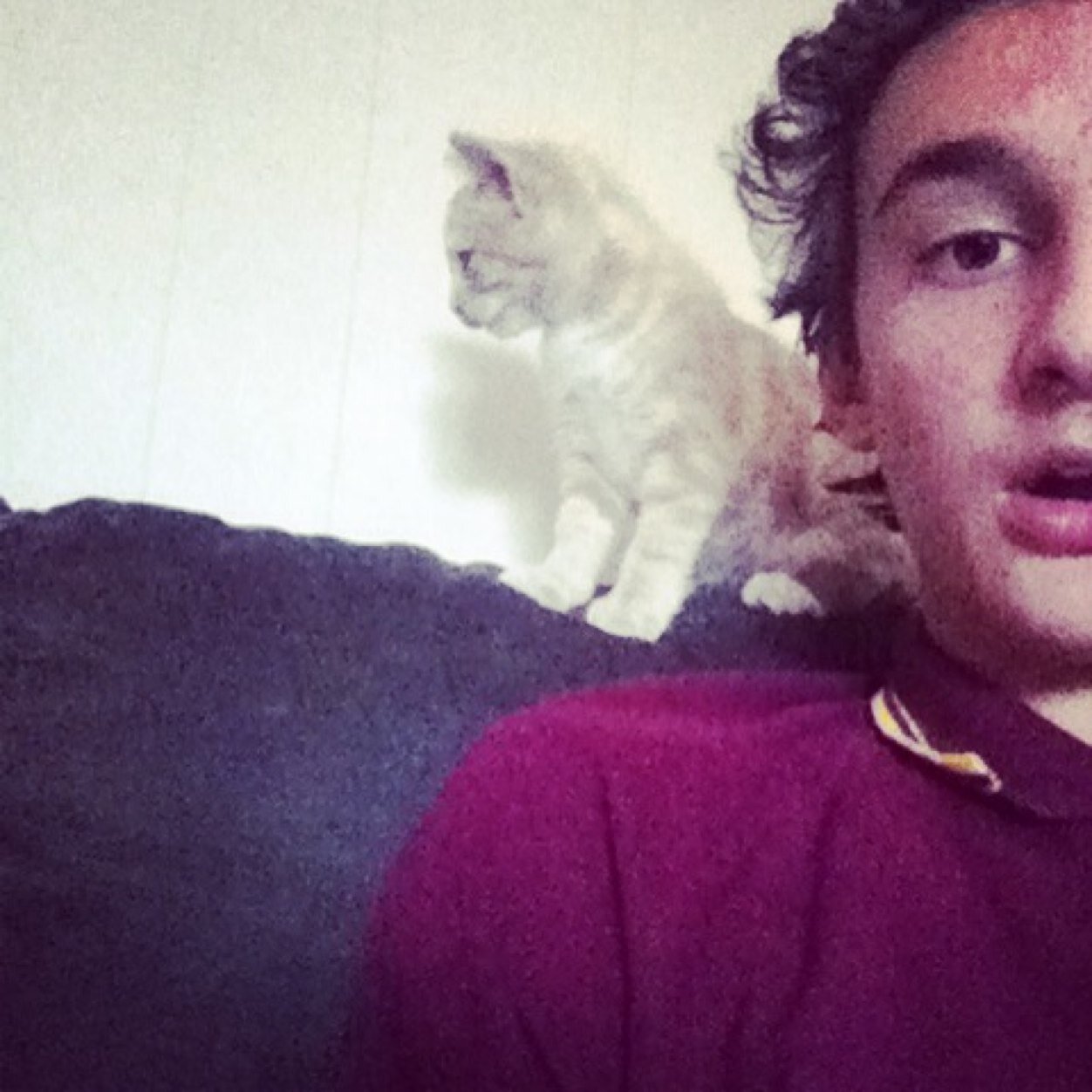 matthewlove66's profile picture. FaZe Clan !!!!!