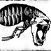 Insectotròpics (@insectotropics) Twitter profile photo Insectotròpics (@insectotropics) Twitter profile photo