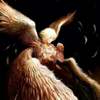 Aedan Kirkland (@manx_aeghill) 's Twitter Profile