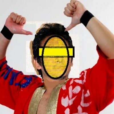 小さな横綱