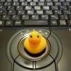 物欲にかかわる情報収集、発信をするアカウントです。
情報もあれば、何かの応募Tweetも含まれます。
それでもよければ、お付き合いください。