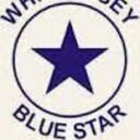 WseyBluestar Profile Picture