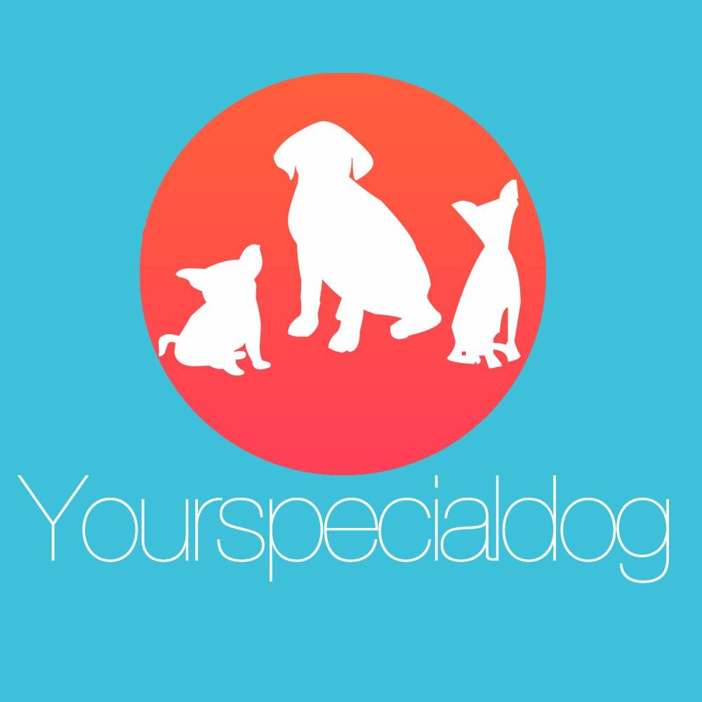 A blog dedicated only on dog life , dog tips and dog products. #dogblog #PRfriendly