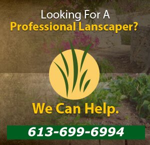 Looking for Professional Landscapers in Ottawa? Visit our Website to Find One!