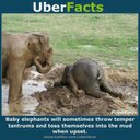 Janet Forman - @FormanJanet - Twitter