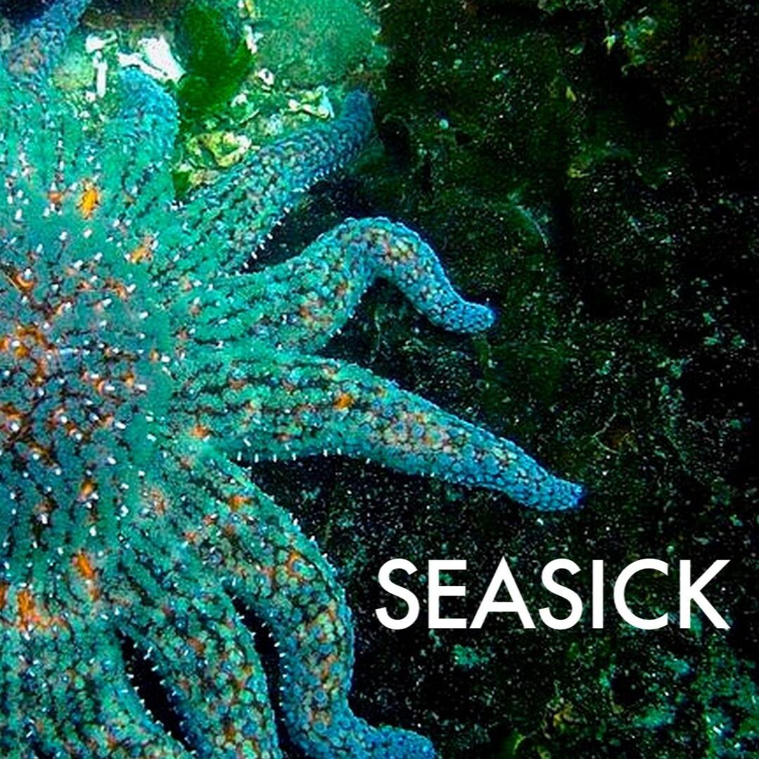 A documentary film to highlight the effects of Sea Star Wasting Syndrome on the biodiversity of the west coast of North America. Support our Kickstarter!