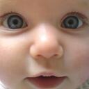 Evie Gregory - @eviegregory - Twitter