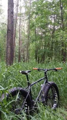 wiewuwie's profile picture. psychologist, cyclist, coffee roaster, espresso maker, forager