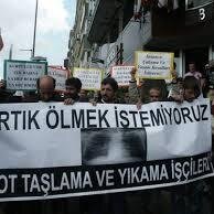 kotkumlamayard's profile picture. kot kumlama yardımlasma