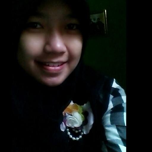 sriwijaya university (PDU '11)