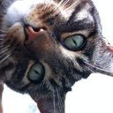 Crinklebum's profile picture. 