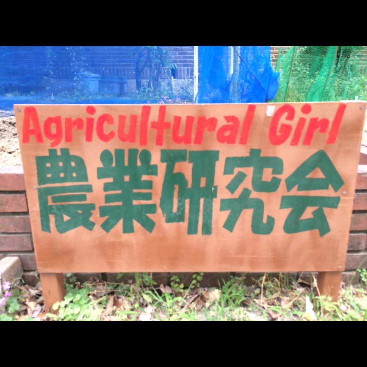 aguriculture49 Profile Picture