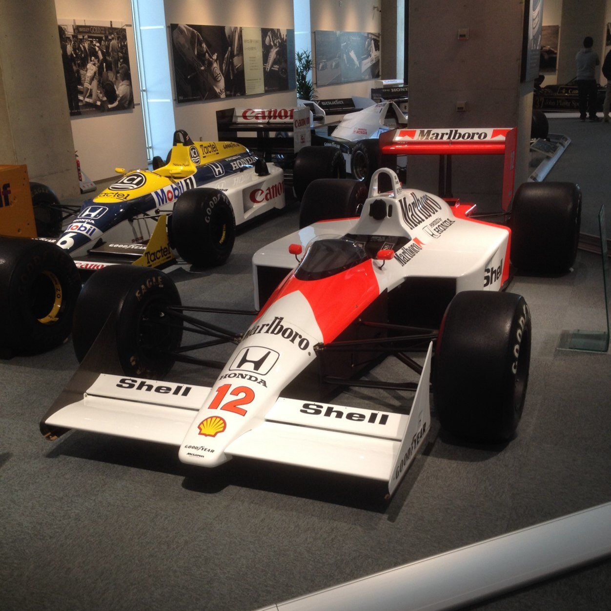 sat0keN823's profile picture. 