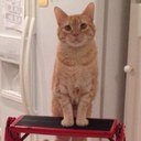 Dra. Erika Klar  - @ErikaKlar - Twitter