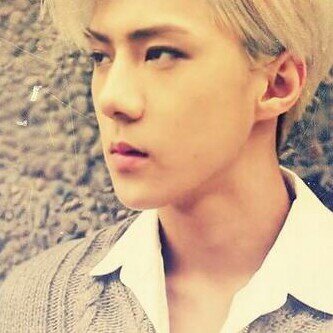 OhSehunNet Profile Picture