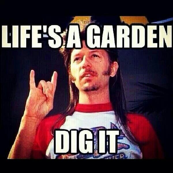 RamblinMannn's profile picture. Live Every Minute- #CuseNation #Sports and outdoor enthusiast: #Hiking, #BBall #Soccer #Lakers #Pats #CuseNation