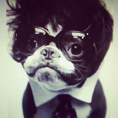 rlynnjennings's profile picture. Marketing and Events Manager.  Food Lover. Good Music. Amazing time with friends.