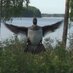 Kari S. Maattinen (@kmaattinen) Twitter profile photo