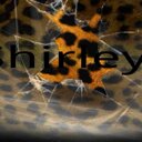 Shirley Foreman - @ForemanShirley - Twitter