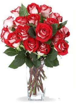 giftsflowerscom's profile picture. 