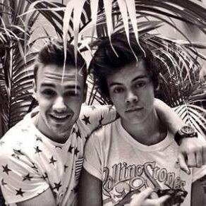 Harry Styles, Zayn Malik, Liam Payne, Niall Horan and Louis Tomlinson  
 My Vida Entera, Y Si Daria lo Que Fuera por ellos ♥