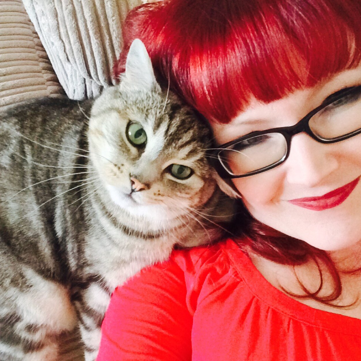 Aristocatsitting provide specialist cat sitting services in Reading and surrounding areas.