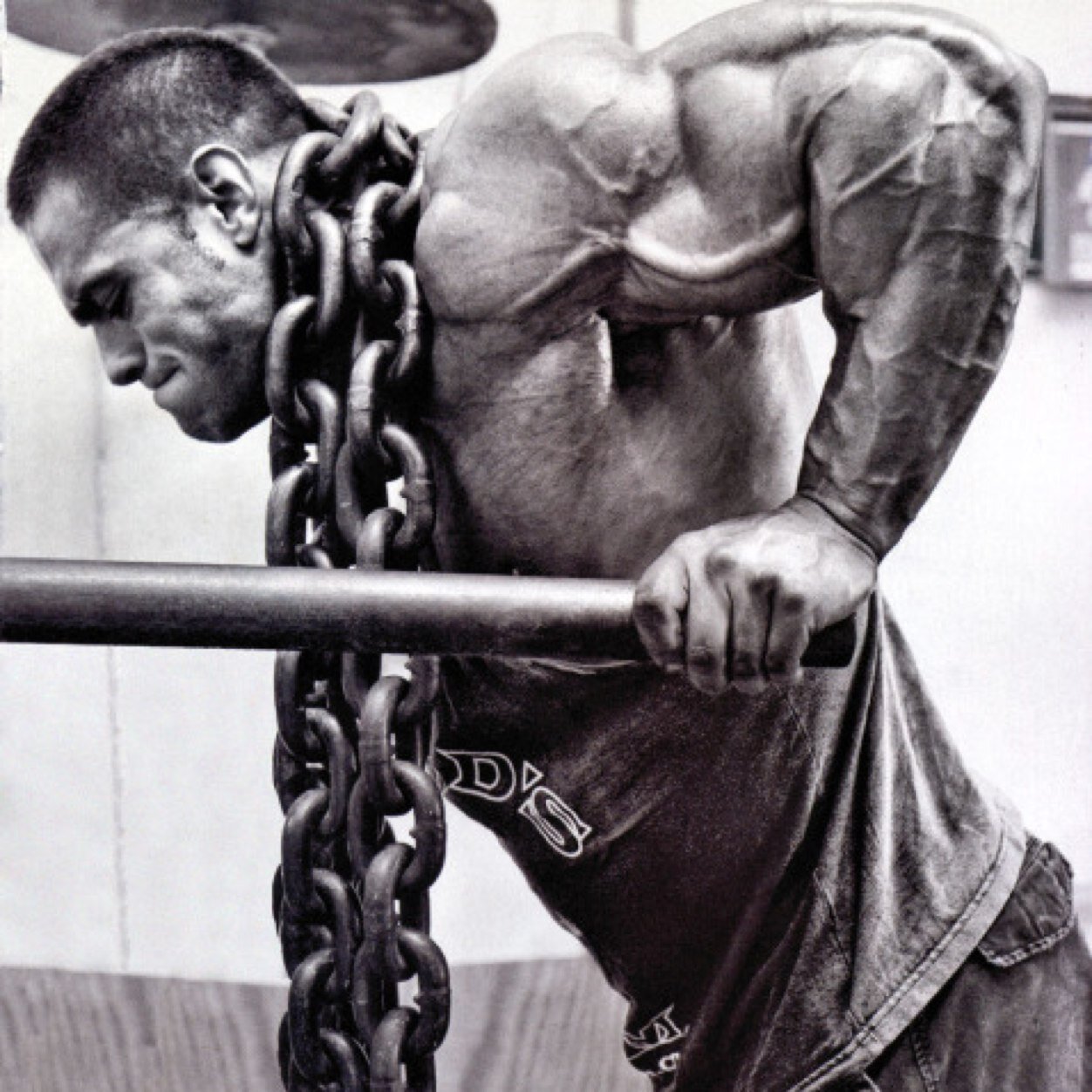 This page is where the heavy lifters of the world come together to discuss different training techniques while keeping a sense of humor.