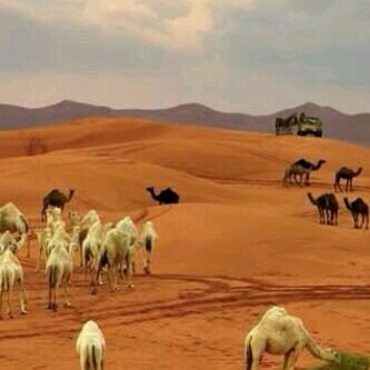 ليساالجمال من الخارج بل من الداخل