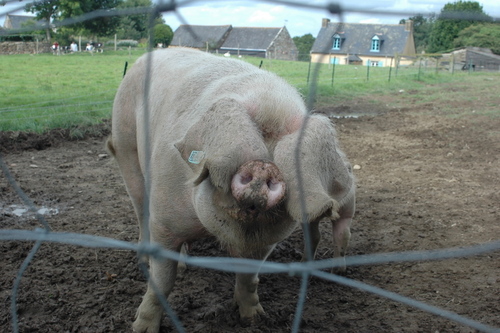 jackgilez's profile picture. 