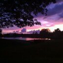 natlmb's profile picture. 